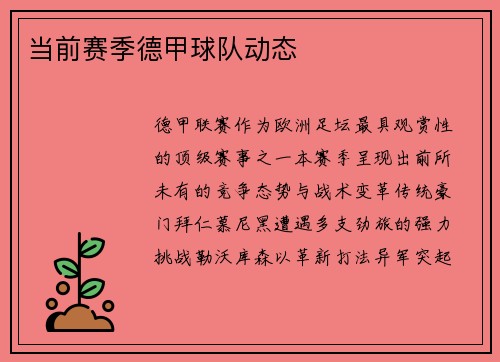 当前赛季德甲球队动态